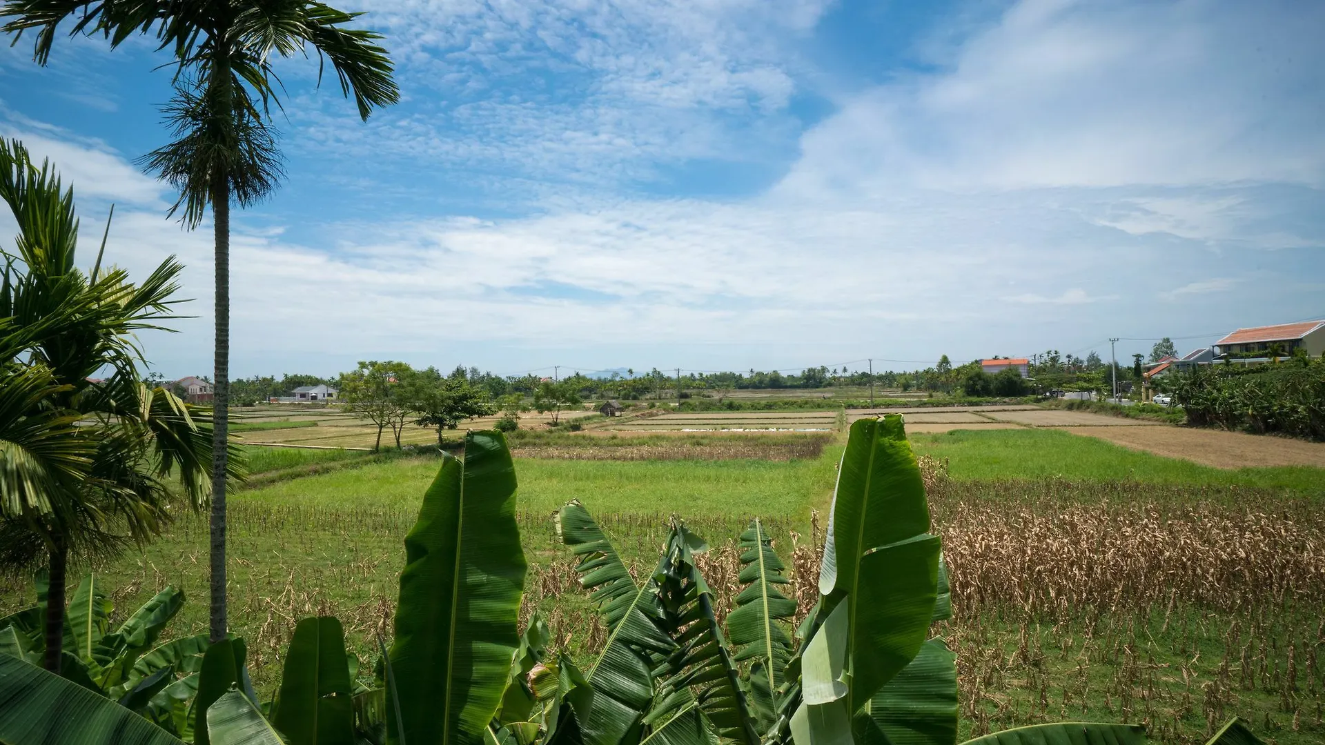 River Field Hoi An Homestay 0*,